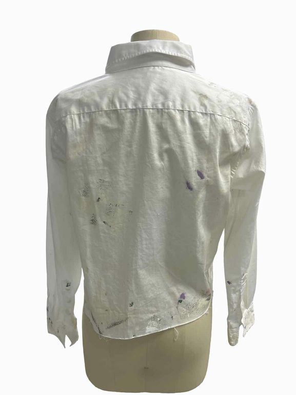 ANTHROPOLOGIE RAQUEL ALLEGRA ARTIST CROP TOP INSPIRED BY PAINTERS SIZE: 00