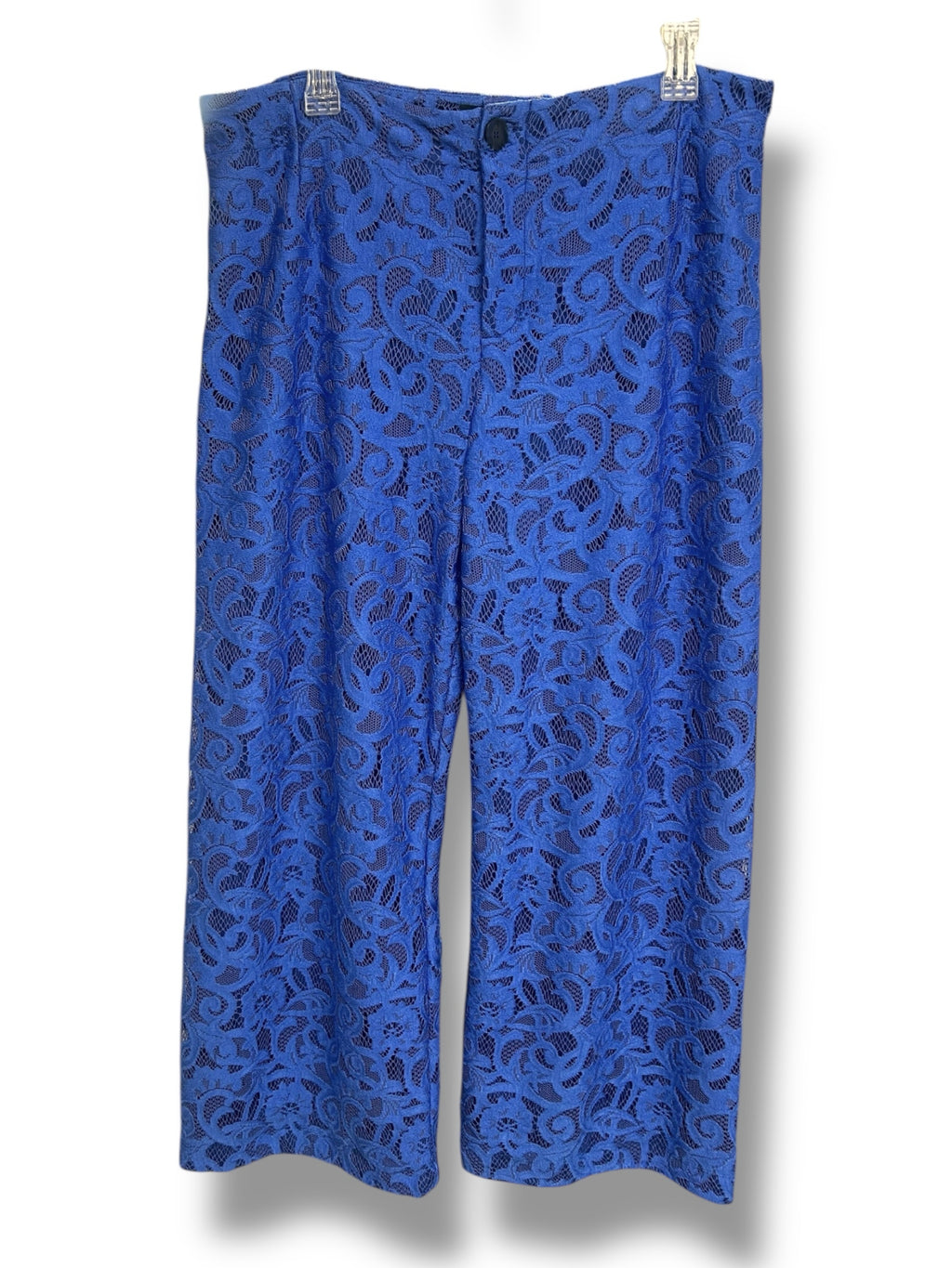 ANTHROPOLOGIE MAEVE THE COLETTE LACE CROPPED WIDE VICTORIAN BLUE LACE PANTS