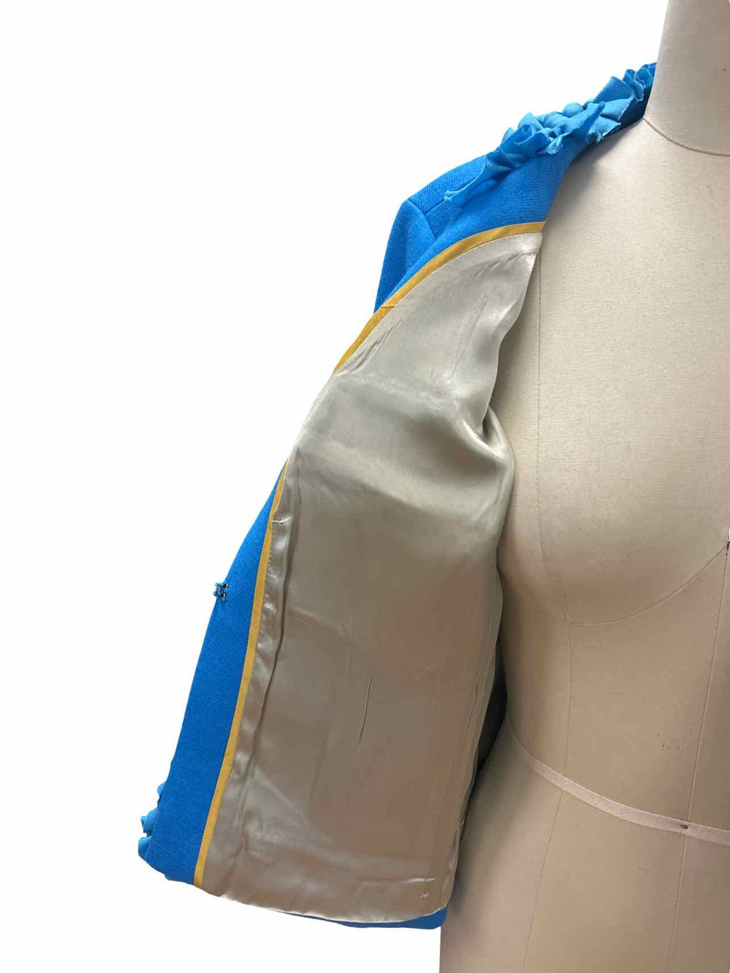 JCREW WOOL SILK BERRY TRIM ASTRID CROP SIZE: 12