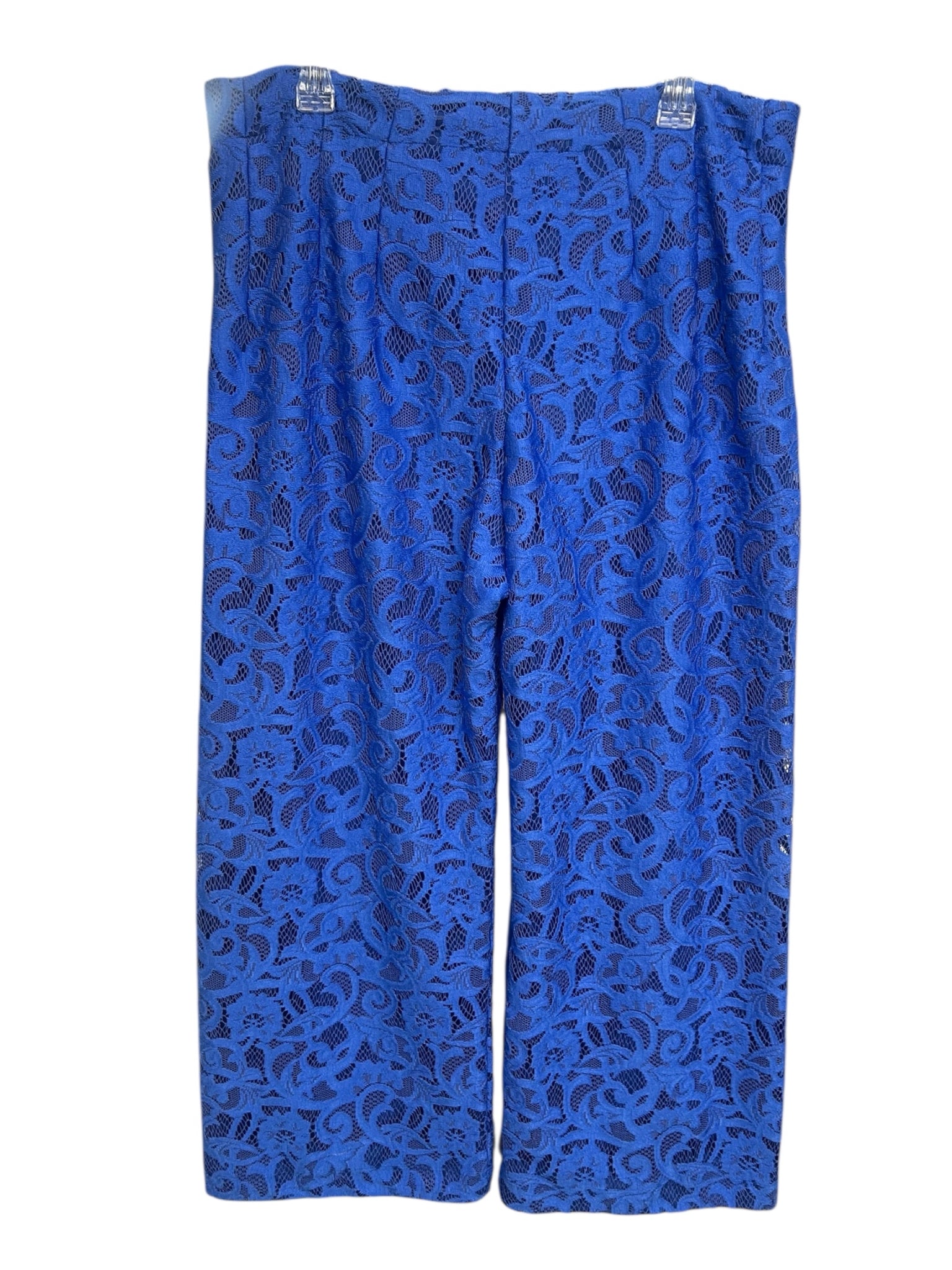 ANTHROPOLOGIE MAEVE THE COLETTE LACE CROPPED WIDE VICTORIAN BLUE LACE PANTS