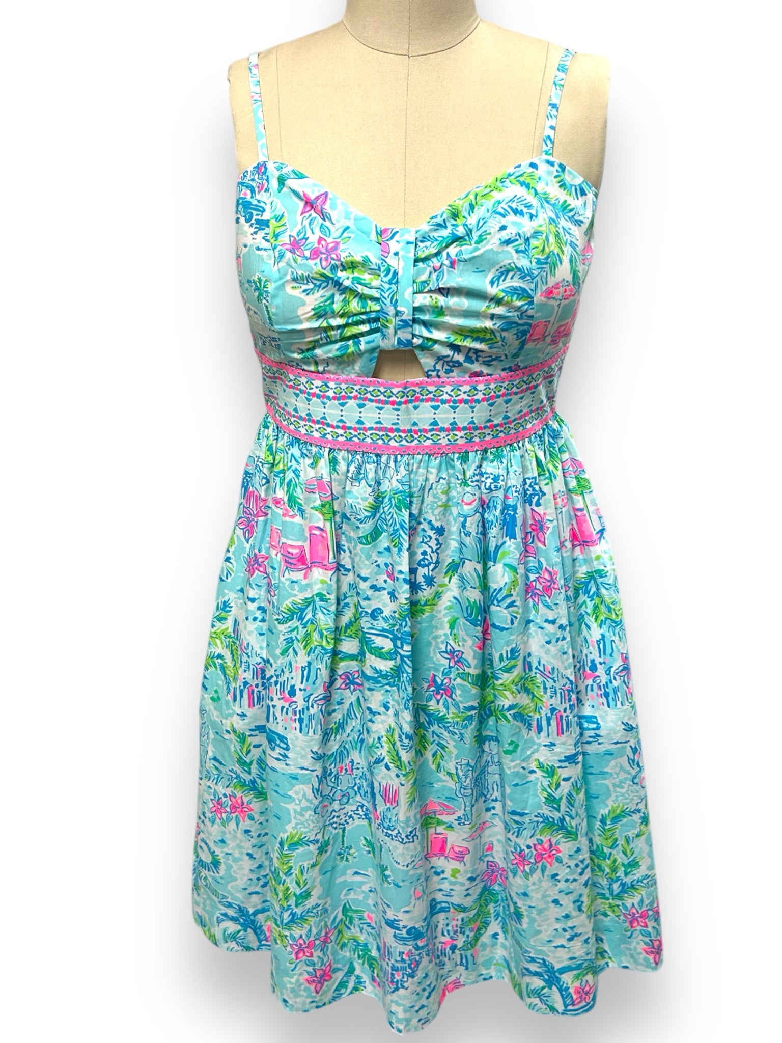 LILLY PULITZER KAITLYN DRESS IN WHAT A LOVELY PLACE MULTI SIZE 2