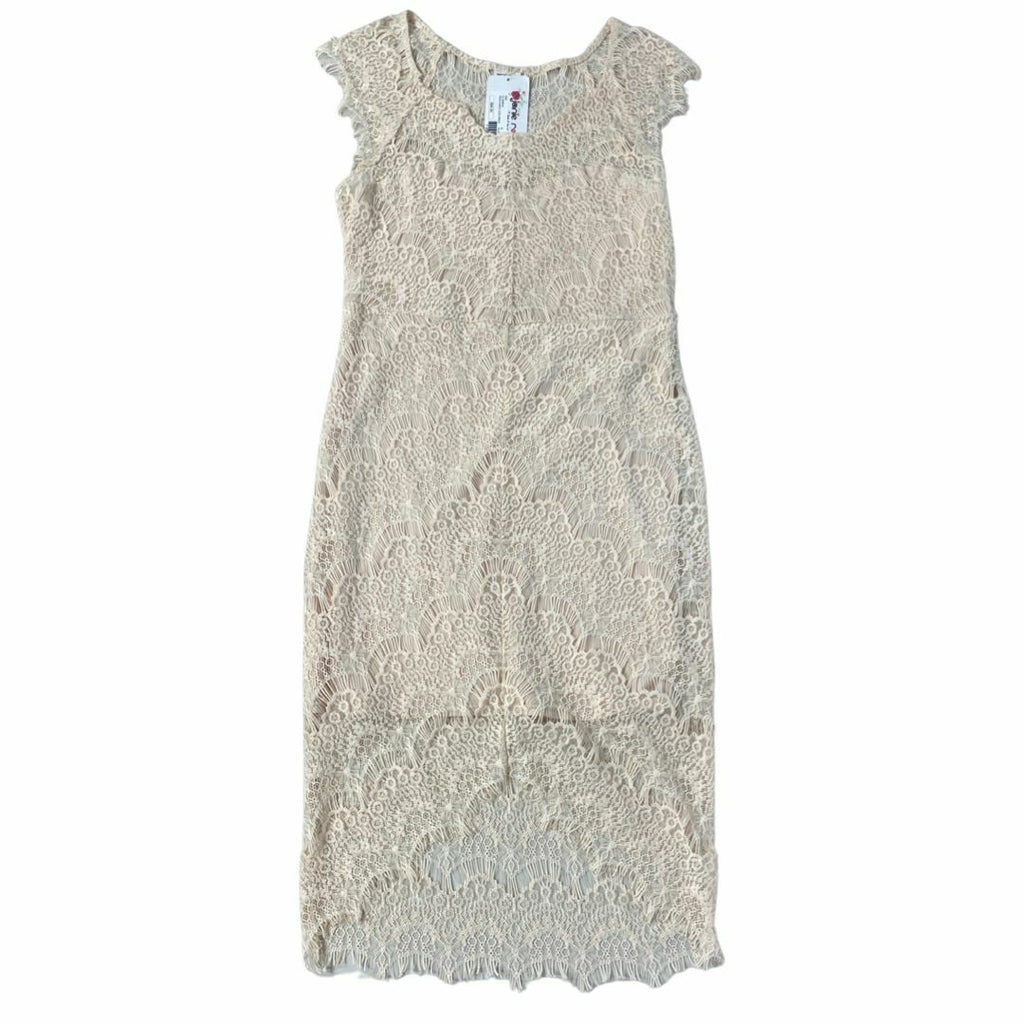 NWT! FREE PEOPLE - JANIE ROSE BLUSH PEAK-A-BOO LACE DRESS SIZE MEDIUM