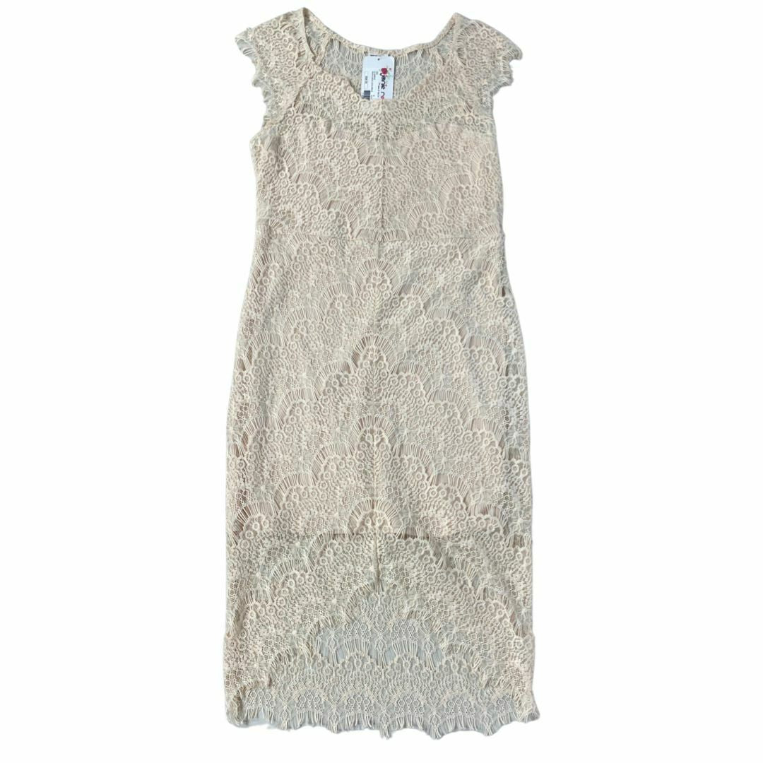 NWT! FREE PEOPLE - JANIE ROSE BLUSH PEAK-A-BOO LACE DRESS SIZE MEDIUM