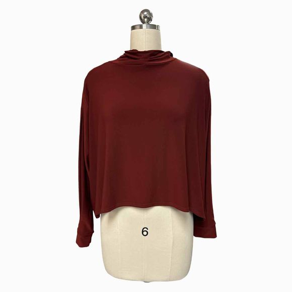 SYMPLI WIDE CUFF RAGLAN HOODED RUST TOP SIZE 6