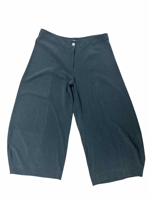 ALEMBIKA CREPE WIDE LEG FLOWY PANTS SIZE 5