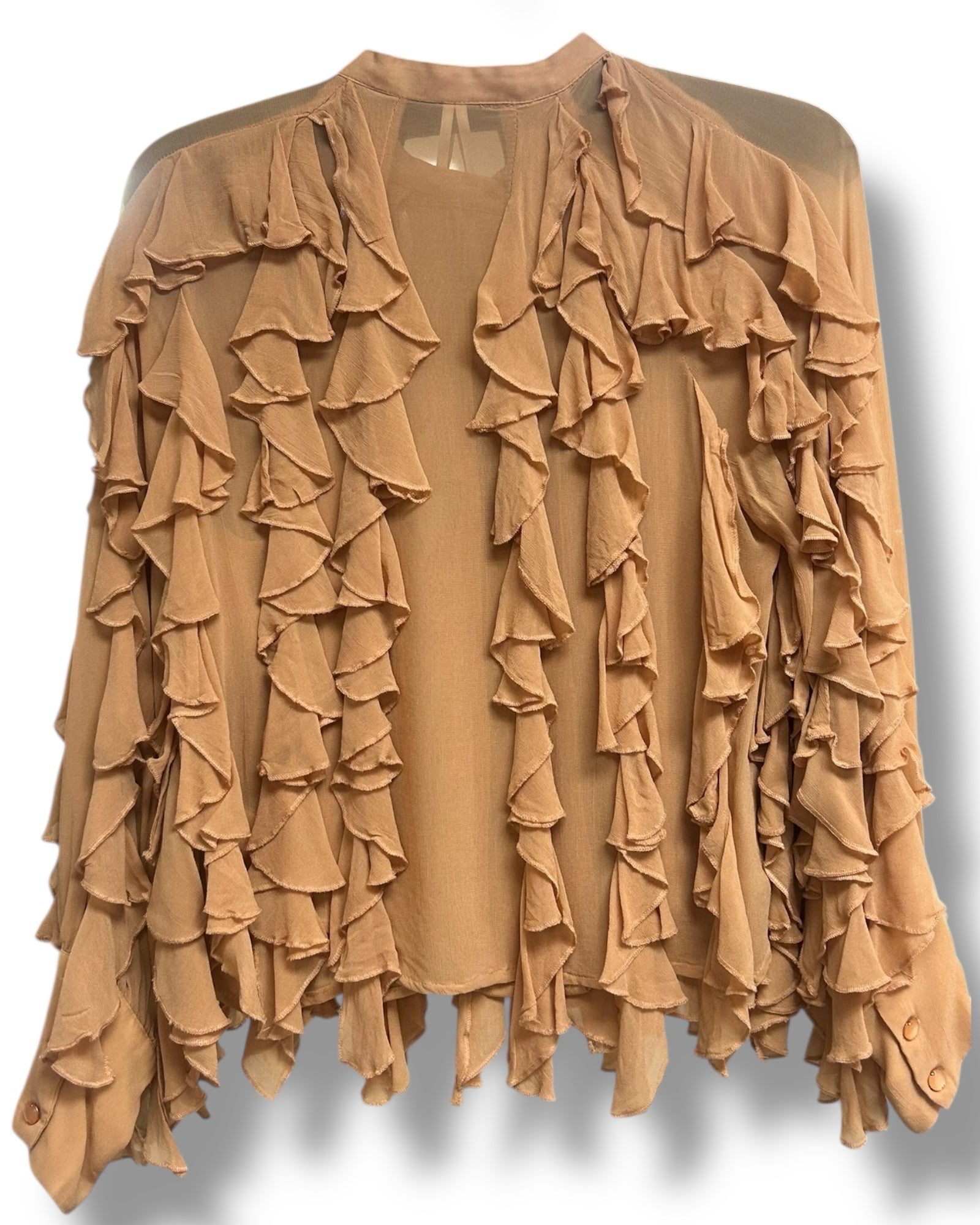 ANTHROPOLOGIE SHEER RUFFLE PEACH LONG SLEEVE BUTTON DOWN BLOUSE SIZE SMALL