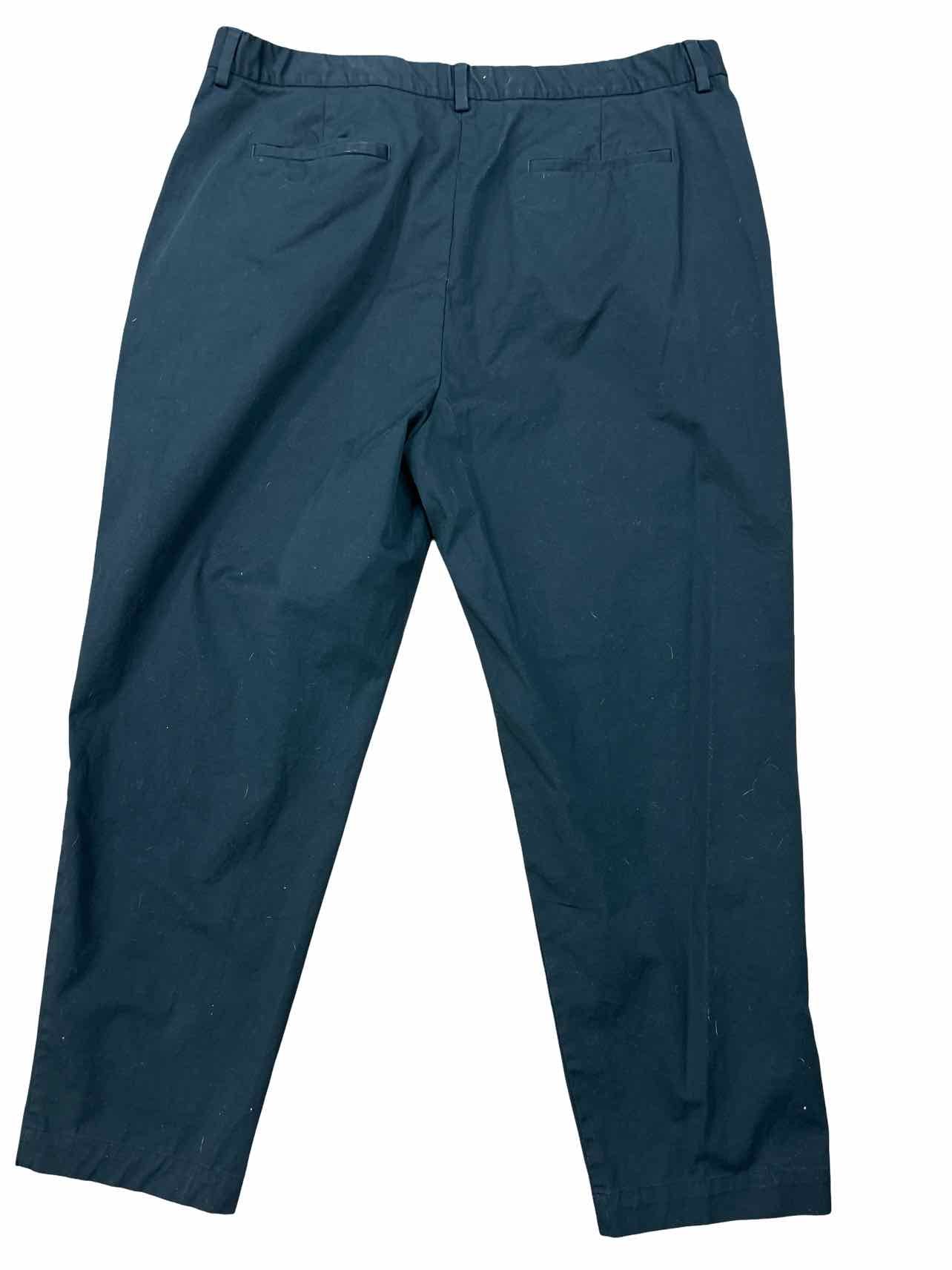 EILEEN FISHER STRAIGHT LEG PANT SIZE: XL